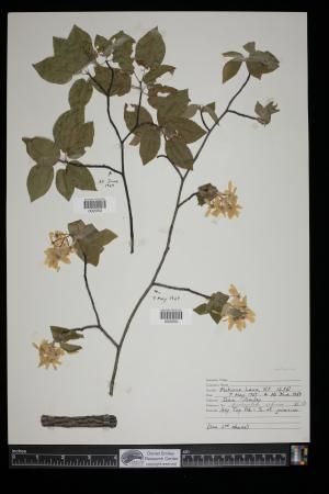 91332-Service File.jpg