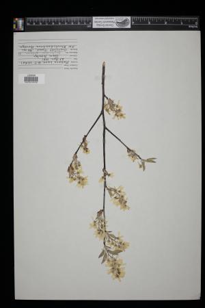 91336-Service File.jpg