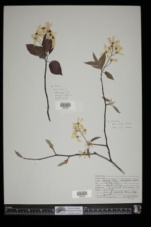 91338-Service File.jpg