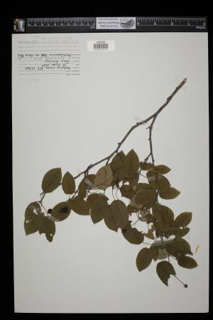 91341-Service File.jpg