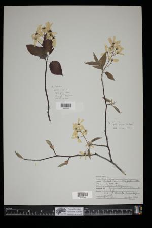 91344-Service File.jpg