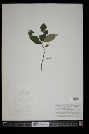 91350-Service File.jpg