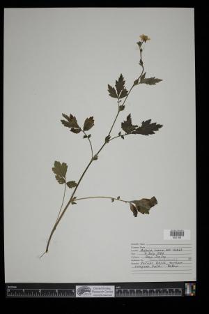 91384-Service File.jpg