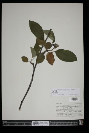 91386-Service File.jpg