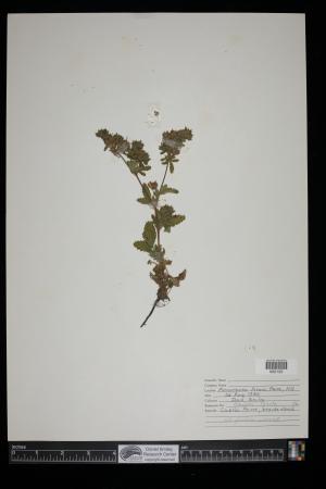 91398-Service File.jpg