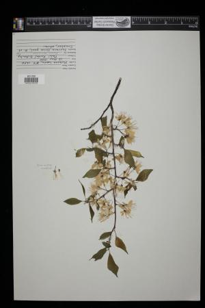 91406-Service File.jpg