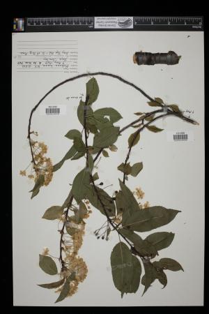 91409-Service File.jpg