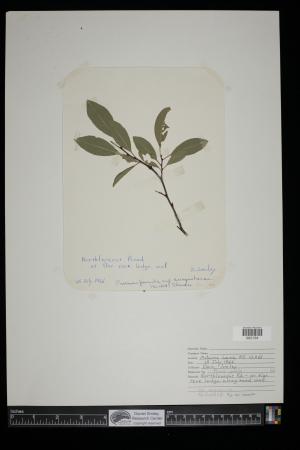 91412-Service File.jpg