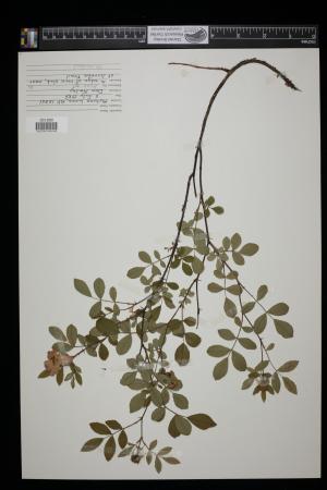 91429-Service File.jpg
