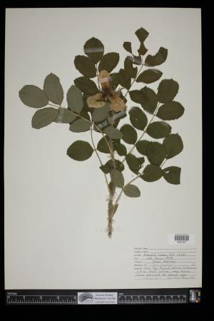 91434-Service File.jpg