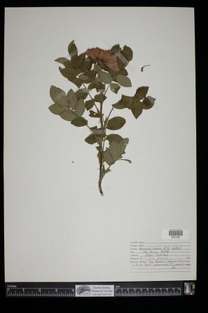 91435-Service File.jpg