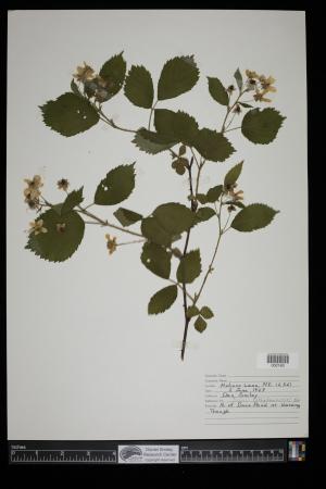 91437-Service File.jpg