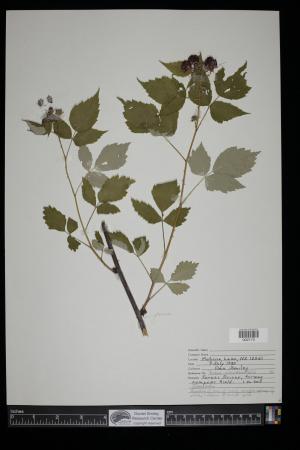 91450-Service File.jpg