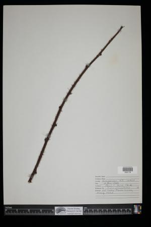 91455-Service File.jpg
