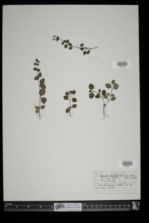 91493-Service File.jpg