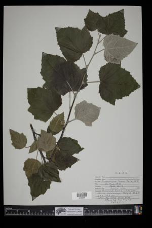 91497-Service File.jpg