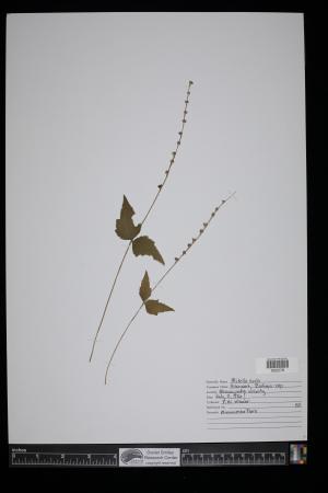 91544-Service File.jpg