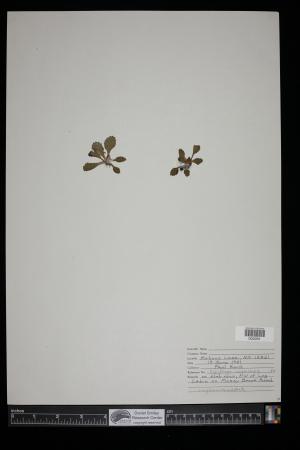 91547-Service File.jpg