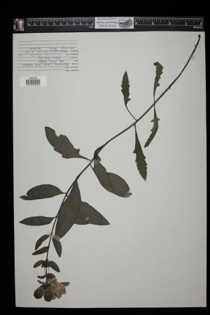 91563-Service File.jpg
