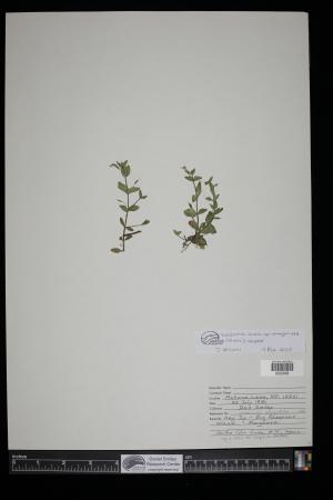 91574-Service File.jpg