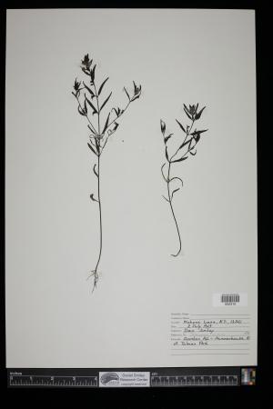 91576-Service File.jpg