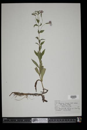 91581-Service File.jpg
