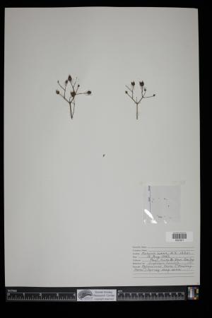 91587-Service File.jpg