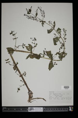 91592-Service File.jpg