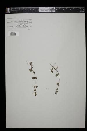 91604-Service File.jpg