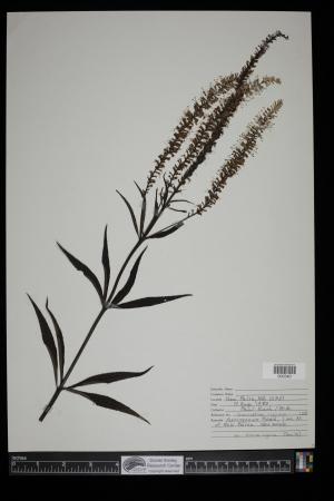 91606-Service File.jpg