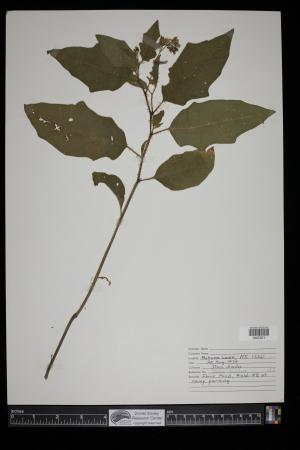 91617-Service File.jpg