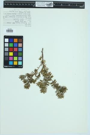 91630-Service File.jpg