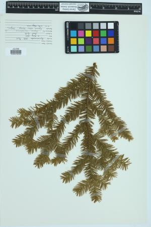 91631-Service File.jpg