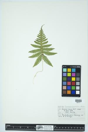 91633-Service File.jpg