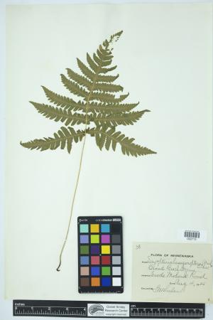 91635-Service File.jpg