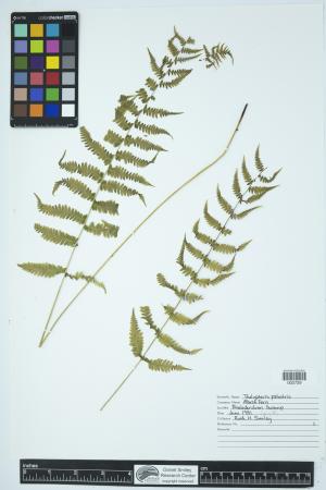 91650-Service File.jpg