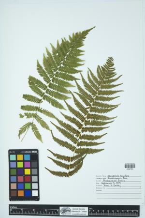 91654-Service File.jpg