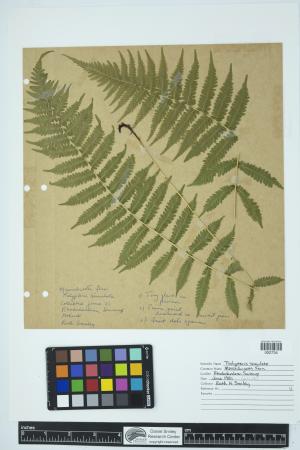 91655-Service File.jpg