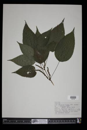 91671-Service File.jpg