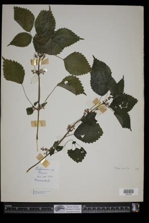 91673-Service File.jpg