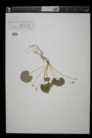 91684-Service File.jpg