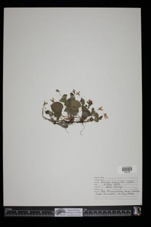 91689-Service File.jpg