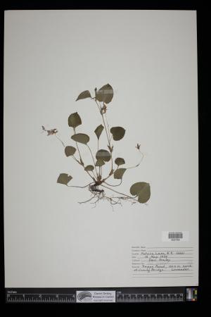 91690-Service File.jpg