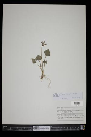 91693-Service File.jpg