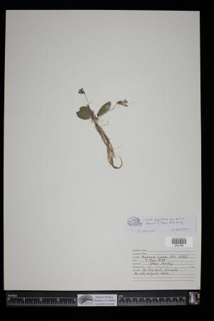 91699-Service File.jpg