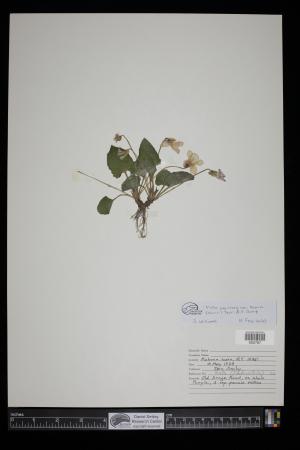 91700-Service File.jpg