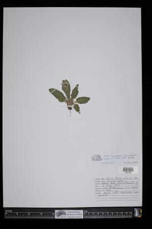 91701-Service File.jpg