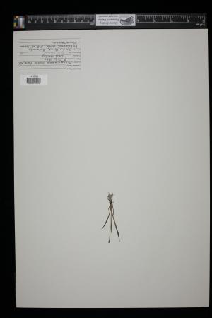 91716-Service File.jpg