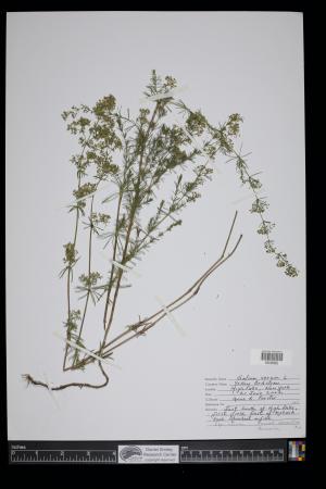 91719-Service File.jpg