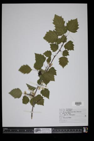 91728-Service File.jpg